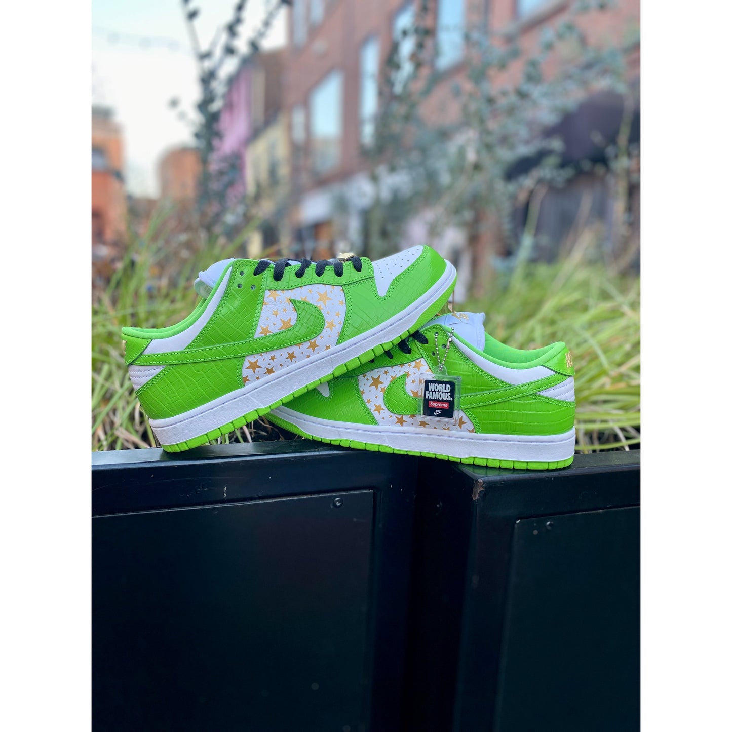 Nike SB Dunk Low Supreme Stars Mean Green (2021)